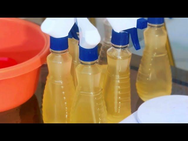 Insecticide | otapiapia step by step making with just 4 things || paramount entertainment