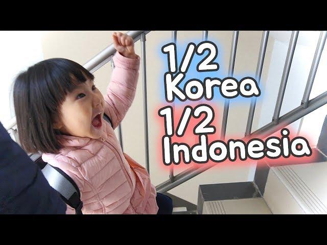 Korea + Indonesia Family Vlog | Update tentang anak-anak!