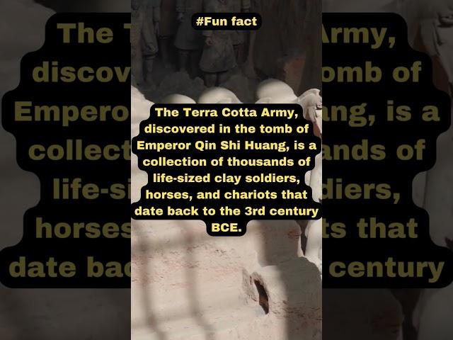 Fun facts you didnt know #Terra Cotta Army #shorts