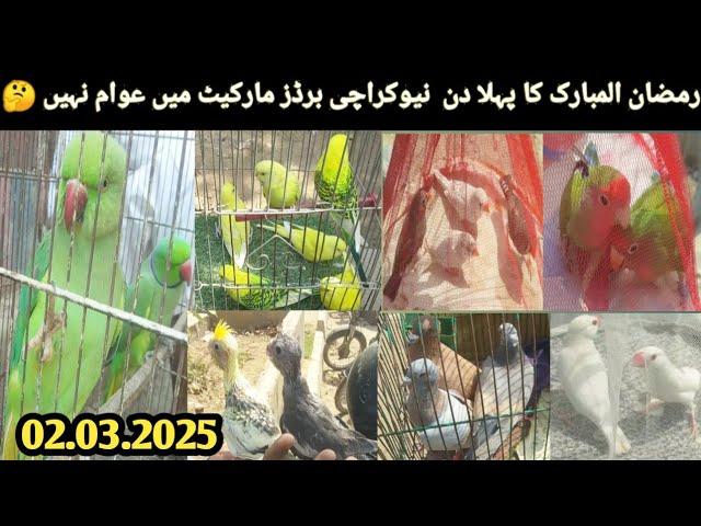 New Karachi Birds Market Sector 5-F Sunday 02-03-2025|Sunday Bird Market Karachi| lovepetsa