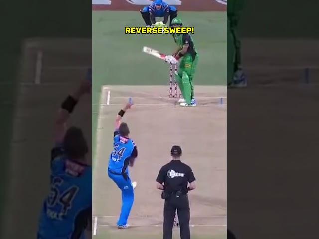 Rare Shots In Cricket!