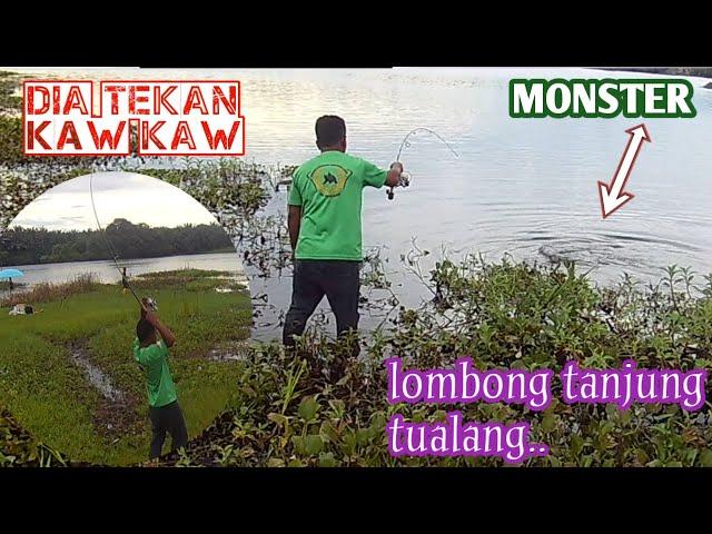 Mancing lombong tanjung tualang || di asak ikan lombong || dia tekan padu. #ikanlombong #ikanmonster