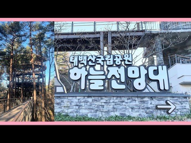 국립공원 태백산 하늘 전망대 / 무장애 탐방로 / 동굴 호랑이 영상관