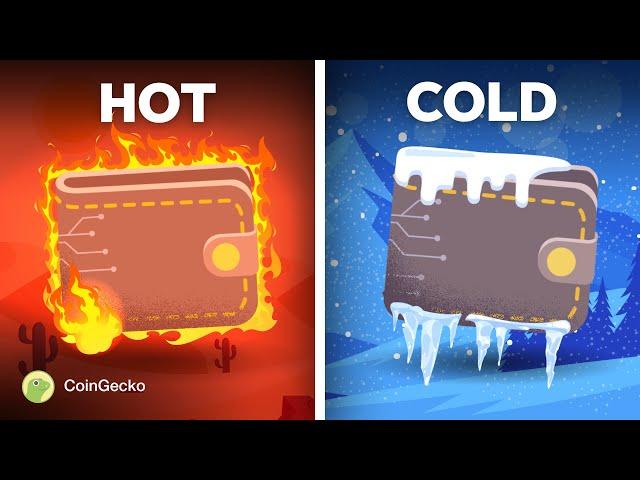 Hot vs Cold Crypto Wallets: What’s The DIFFERENCE??