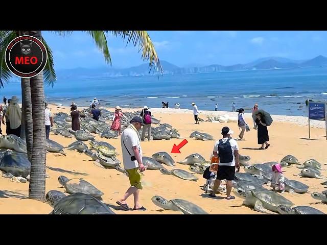 Incredible Moments Caught on Camera  (P136)