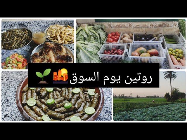 قبل ماروح السوق لازم أعمل كده وإزاي ب200ج تجيبي طلبات الأسبوع 