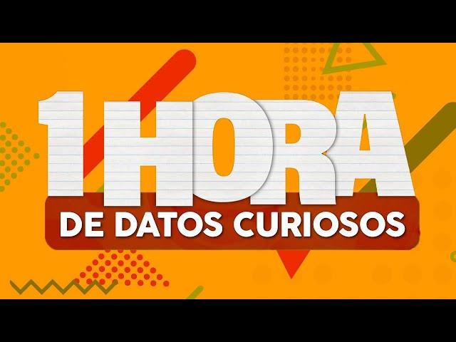 1 HORA de DATOS CURIOSOS⏰