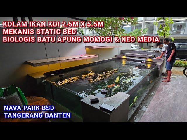 KOLAM IKAN KOI OUTDOOR 2.5M X 5.5M X 1.5M AIR | NAVA PARK BSD TANGERANG BANTEN