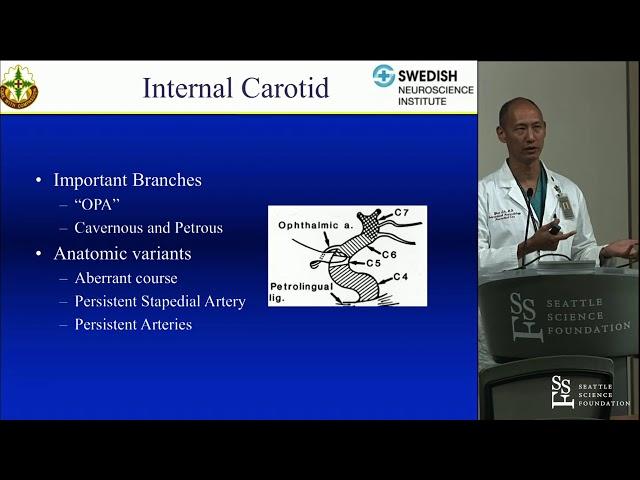 Neuroangiographic Anatomy - Yince Loh, MD, FNCS