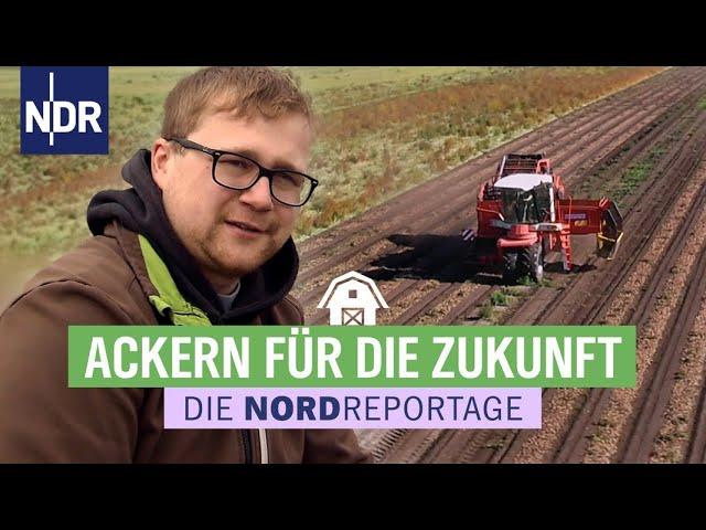 Ackern für die Zukunft - Der junge Kartoffelbauer | Die Nordreportage | NDR