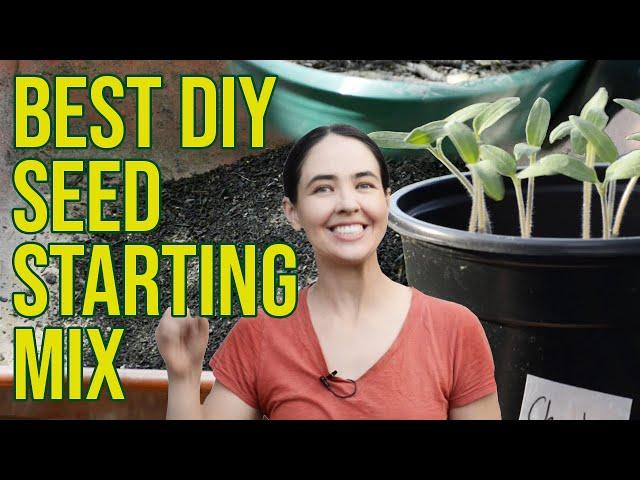 Best All Natural DIY Seed Starting Mix from Scratch for Free