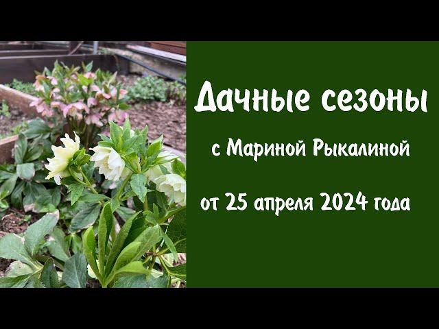 Дачные сезоны с Мариной Рыкалиной от 25 апреля 2024 года