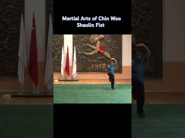 Martial Arts of Chin Woo. Shaolin Fist #kungfu #neuquen #martialarts #kungfuwushu