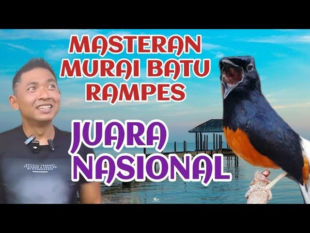 masteran murai batu rampes juara nasional