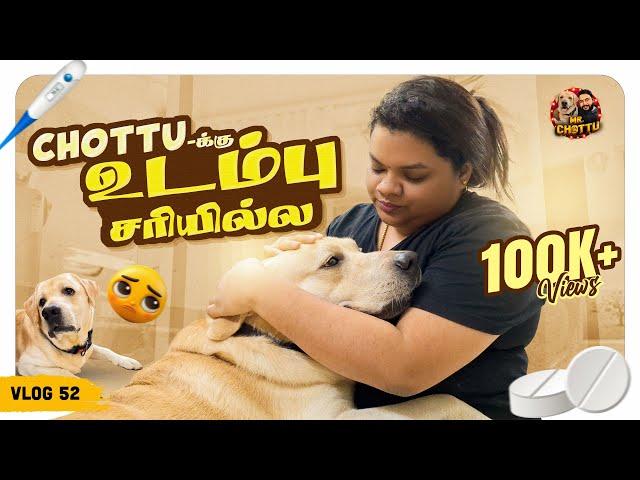 Chottu'க்கு என்ன ஆச்சுன்னு தெரியல | Chottu Not Feeling Well | Vlog 52 | Mr.Chottu