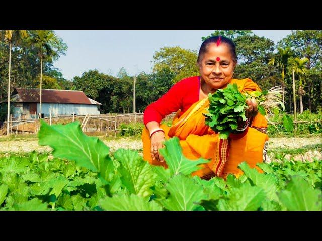 দেশী রাই শাকের বাঙালি রান্না|rai shak recipe bengali|bengali shak recipe