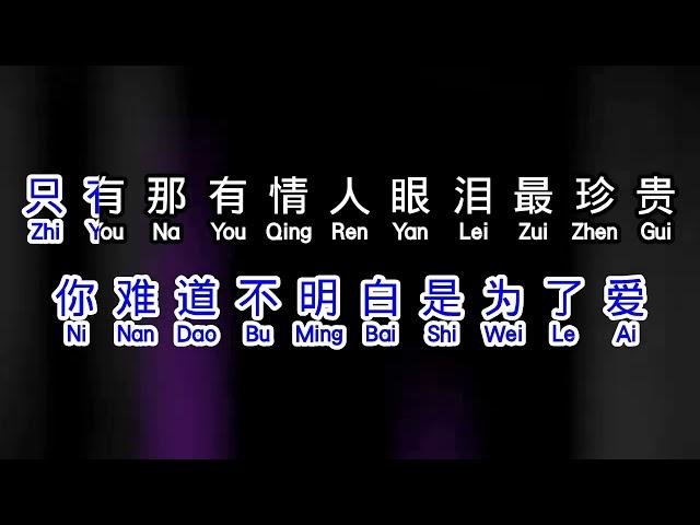 张学友  《 情人的眼泪 》  qing ren de yan lei