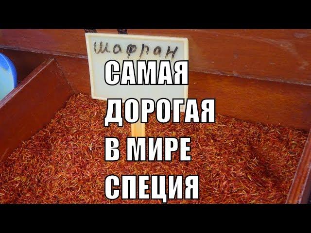 Самая дорогая специя в мире Шафран полезные свойства шафрана