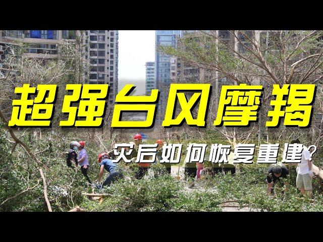 经济损失超500亿！“摩羯”台风重创海南，重建蓝图如何绘制？「央视财经评论」 20240909 | 财经风云