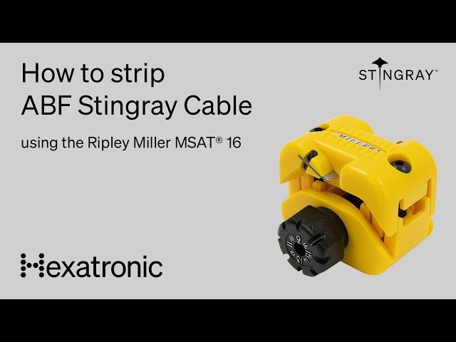 Hexatronic MSAT 16 - Stripping ABF Stingray Tutorial