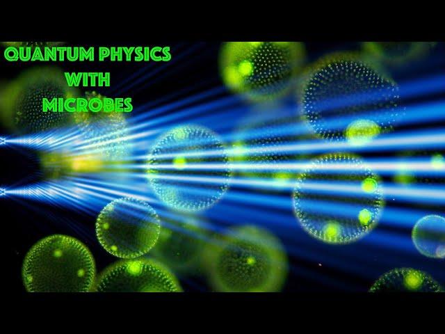 Double Slit Experiment with Living Organisms