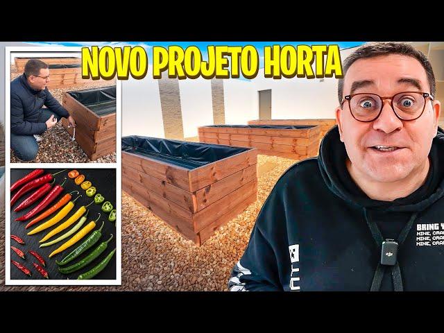 PIMENTAS DO RIC 2.0 ️ NOVO PROJETO HORTA