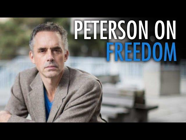 Jordan Peterson on influencing the "Google memo"