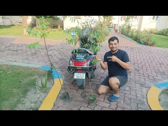 save tree save earth  with Indian visitor