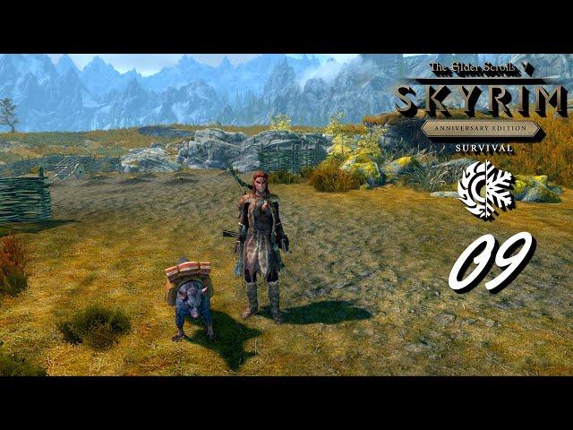 Skyrim Anniversary Edition | Survival | 9.díl | Perk Obchodník a teplé oblečení | CZ Lets Play