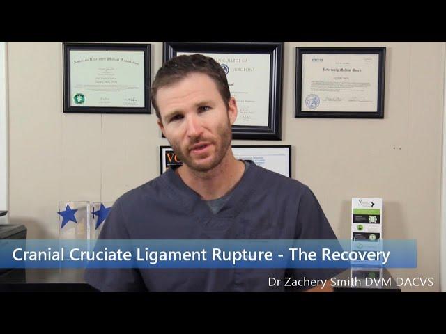 TPLO  The Recovery