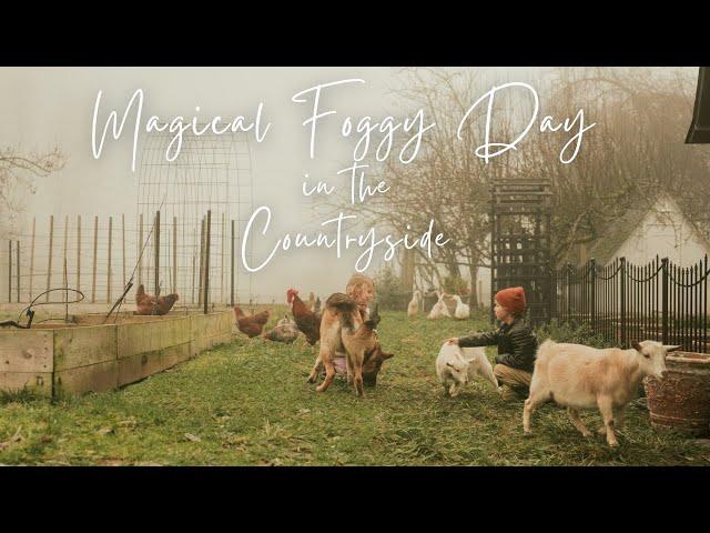 #10 Peaceful Countryside Vlog | Holiday Treats For Our Animals, Finishing Fencing Project