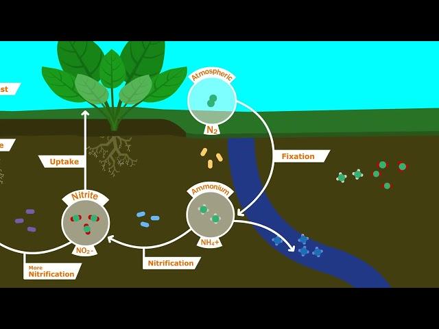 Understanding Our Soil: Jimi Sol