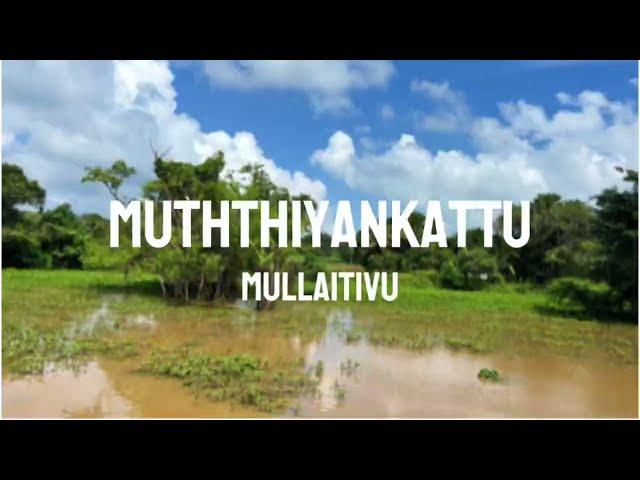 Muththiyankattu, Mullaitivu in rainy season is just like a dreamy place