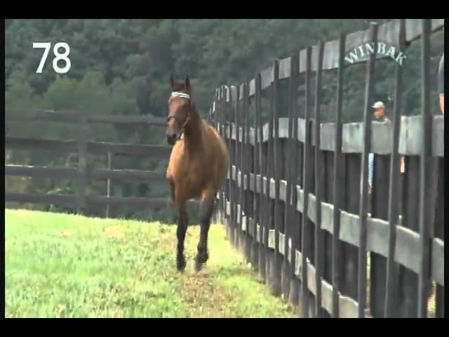 Hip 78 - Winbak Music