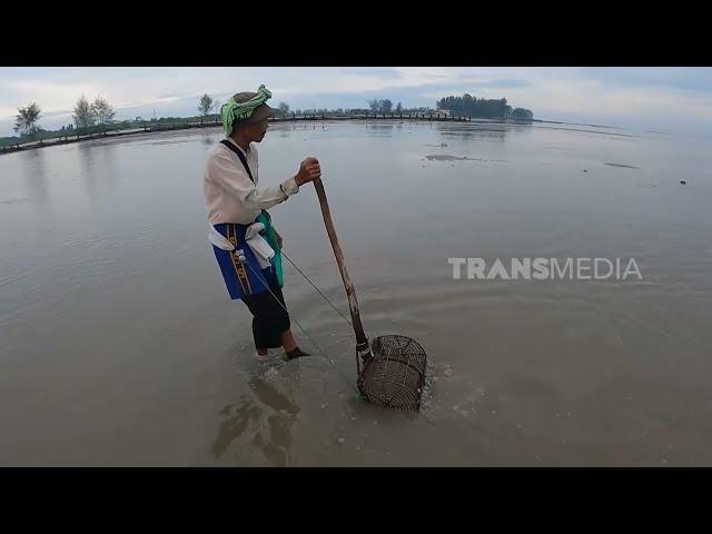 Cakar Cakar Kerang Kepah | RAGAM INDONESIA (21/06/23)