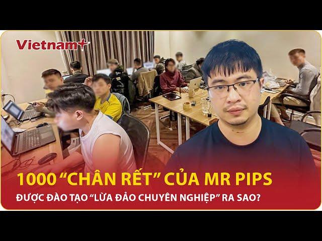 Kỷ lục “chiêu lừa thế kỷ” của Tiktoker Mr Pips với hơn 1000 “chân rết” gây chấn động giới đầu tư