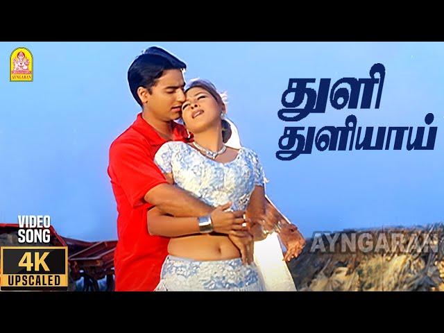 Thuli Thuliyaai - 4K Video Song | துளி துளியாய் | Paarvai Ondre Pothume | Kunal | Monal | Bharani