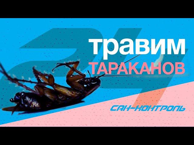 Травим тараканов навсегда Красноярск.   #санконтролькрасноярск