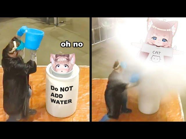 DO NOT ADD WATER | VTuber Fuwa Reacts to Daily Dose of Internet & UNUSUAL MEMES