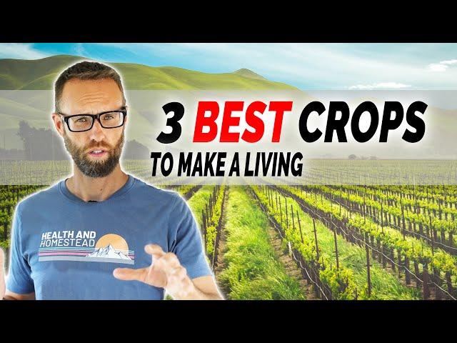 Profitable Vegetable Farming For A Beginner SMALL Farmer- Least Effort