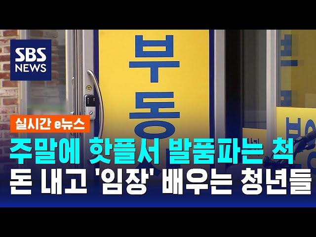 주말에 핫플서 발품파는 척…돈 내고 '임장' 배우는 청년들 / SBS / 실시간 e뉴스