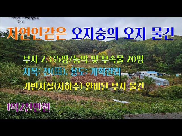 [평창부동산] 오지중의 오지, 자연인같이 혼자 생활하실분... 면적 2,335평/농막 및 부속물 20여평.. 전, 계획관리 평창물건, 평창오지토지,평창자연인토지 [평창공인중개사]