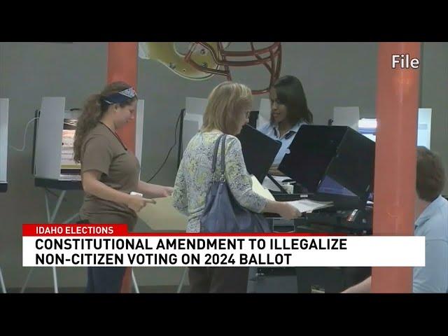 Constitutional amendment on 2024 ballot seeks to make non-citizen voting illegal