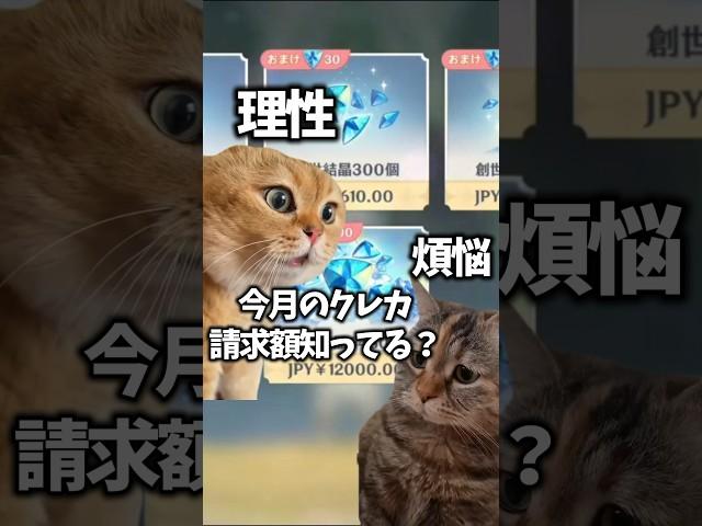 原神微課金勢の日常  #原神  #猫ミーム  #猫マニ