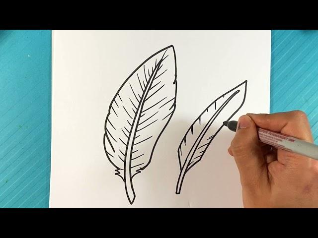 EASY How to Draw a FEATHER