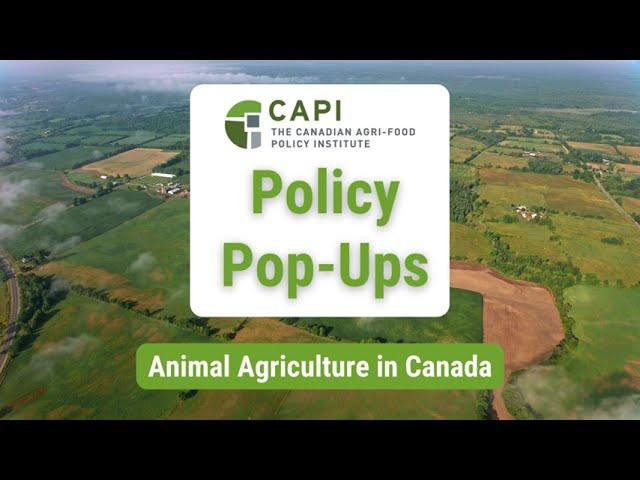 Animal Agriculture in Canada