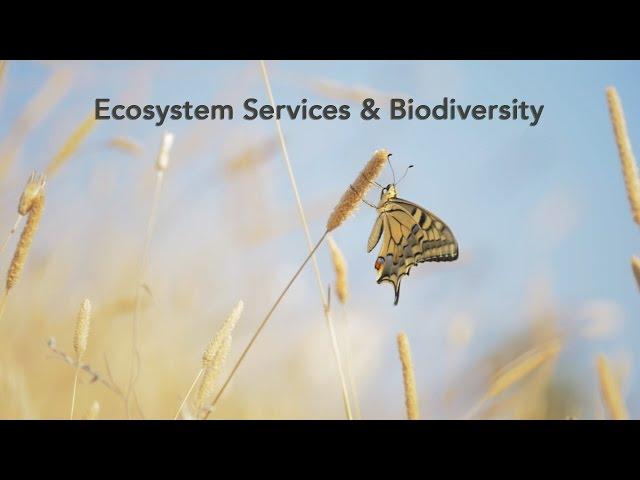 Ecosystem services and Biodiversity - Science for Environment Policy