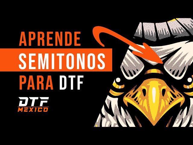  Cómo hacer SEMITONOS para IMPRESIÓN DTF en PHOTOSHOP  | dtfmexico.mx