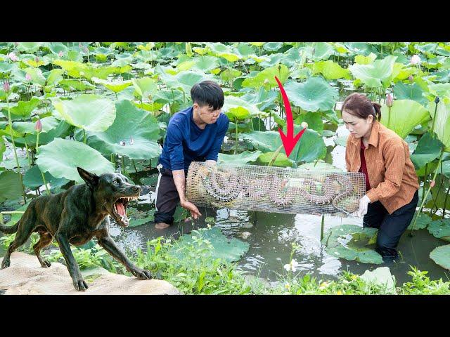 Smart DOG Faces MYSTERIOUS Creature in Lotus Pond - What Did Female Hunter Do with the Iron Cage?