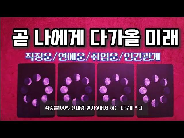 [타로_직장운]곧 나에게 반드시 일어날일 직장운,연애운,취업운,인간관계운 fortune tarot English subtitles